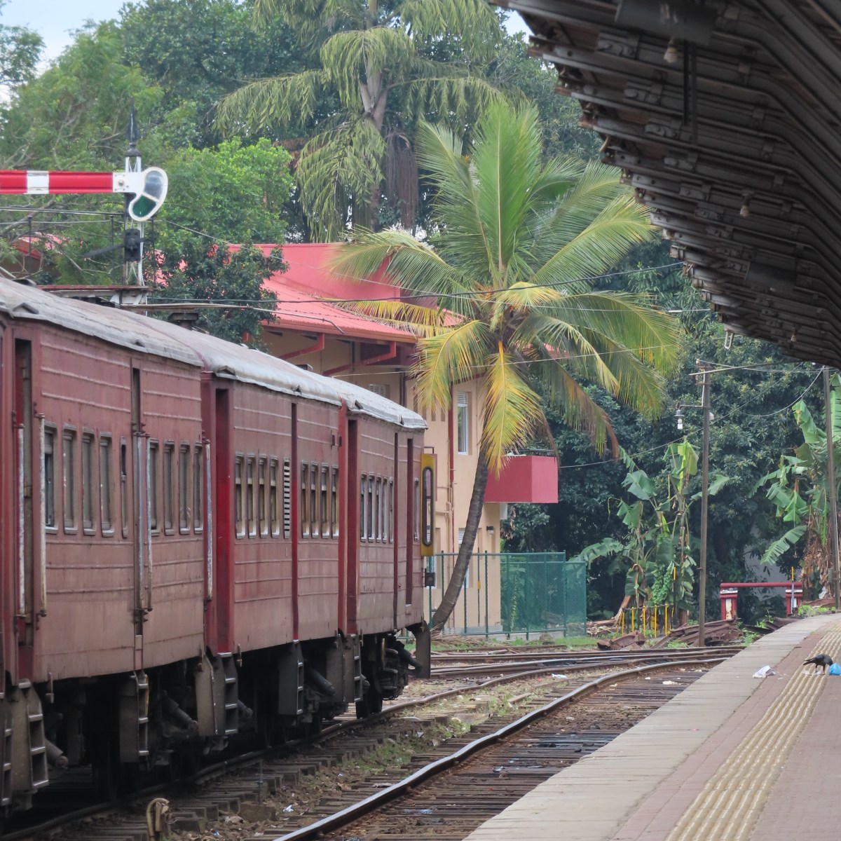From Kandy to&nbsp;Ella