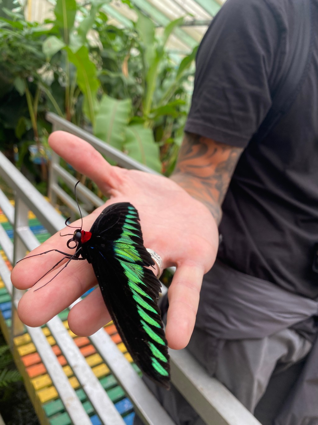 Lunch at the&nbsp;Waterfall